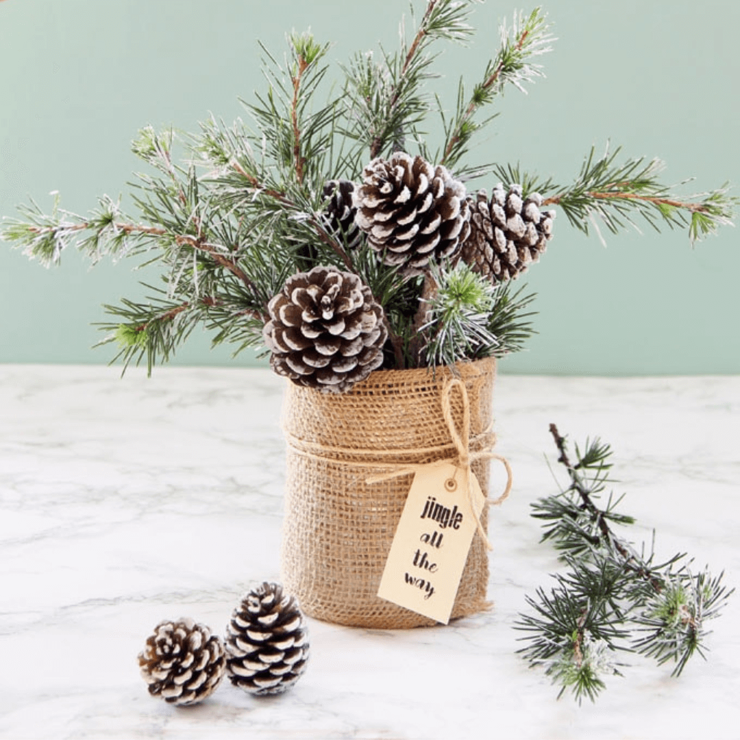 Centre de table conserve