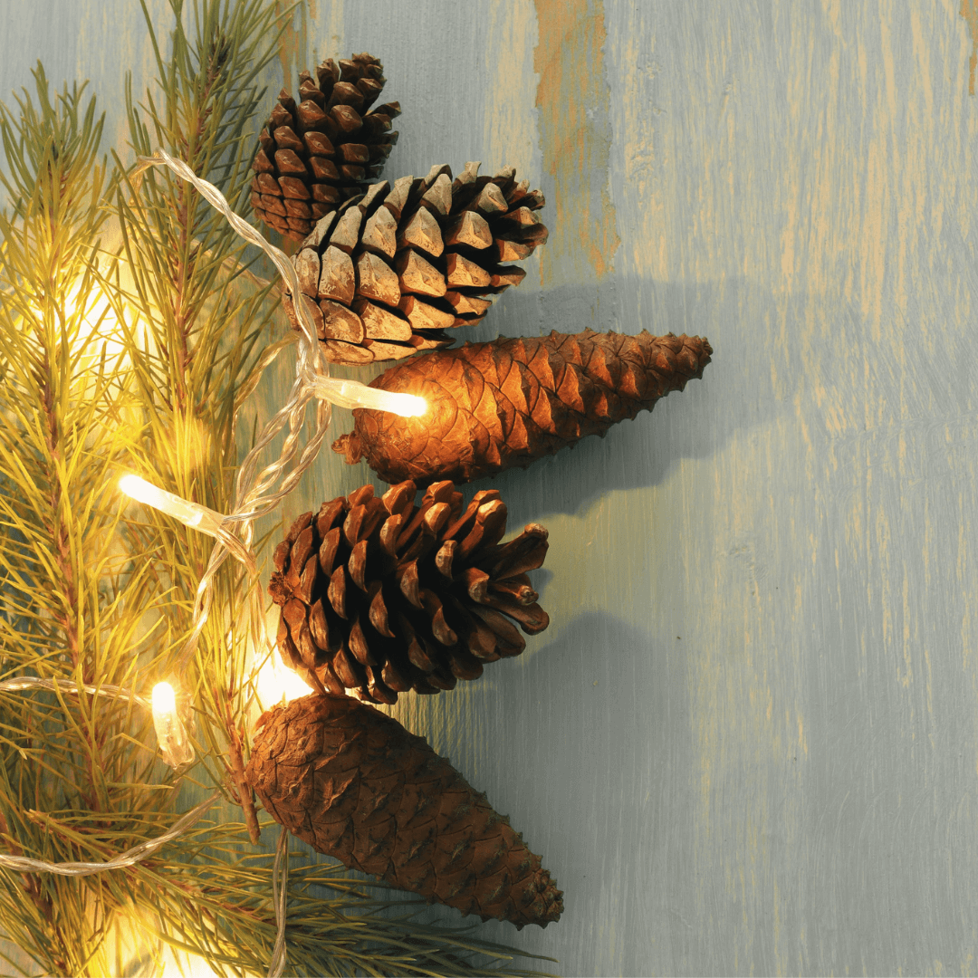 Pomme de pin décorations