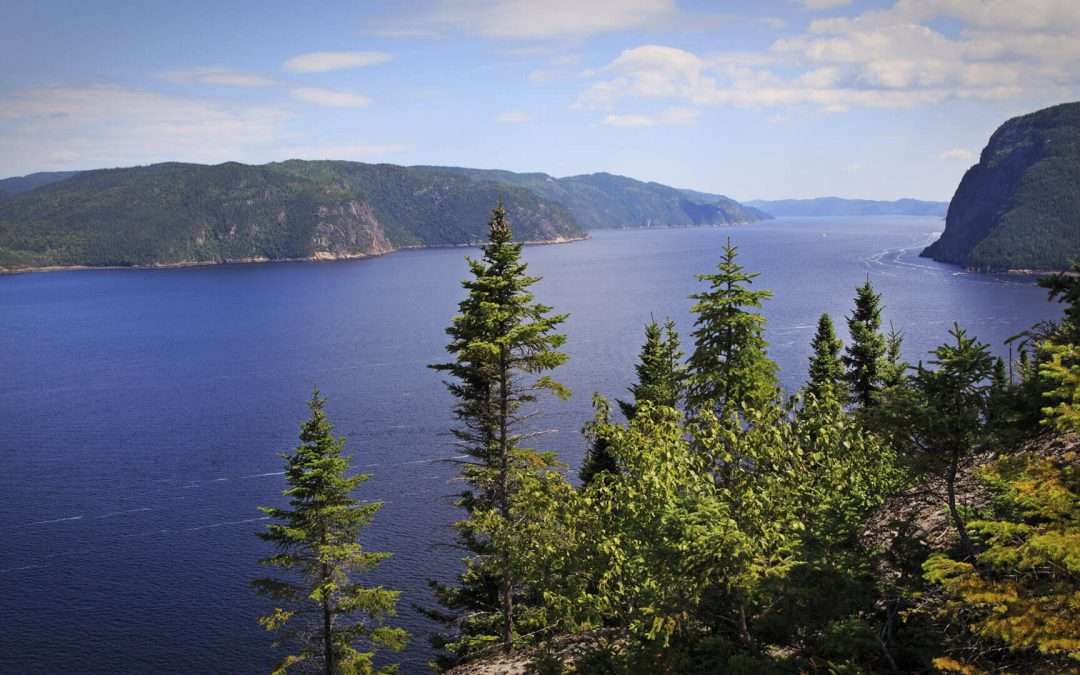 Acquisition de trois nouvelles résidences pour aînés – Gestion Résidences des Bâtisseurs maintenant présent dans la région du Saguenay-Lac-Saint-Jean