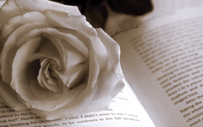 Spécial Saint-Valentin: Une histoire d’amour du haut de leurs 80 ans.