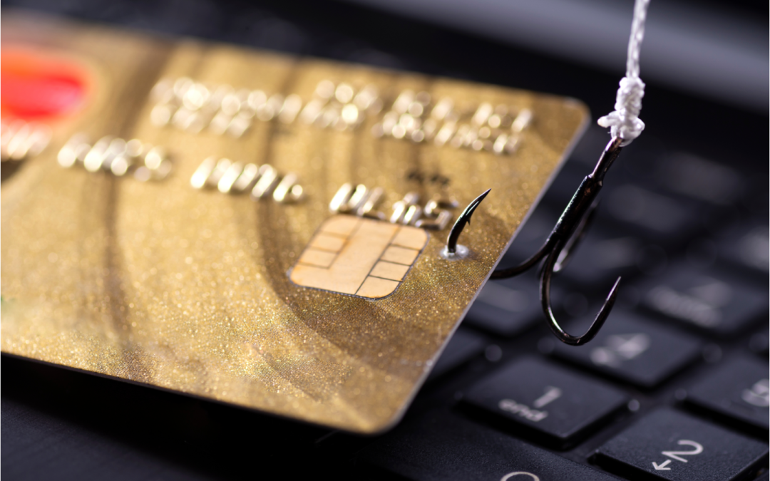 Comment reconnaître les fraudeurs sur le web?