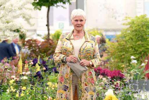 Judi Dench Judi Dench
